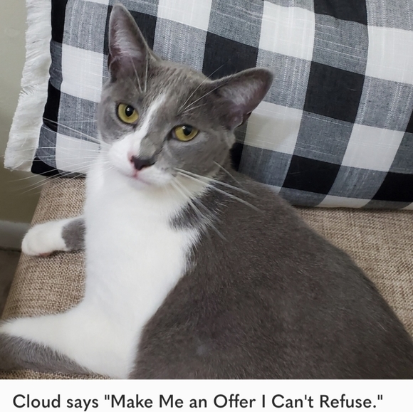 Michael Kors Embroidered Gauze V-neck Tunic with Crochet Trim, Size Small - Picture 8 of 8